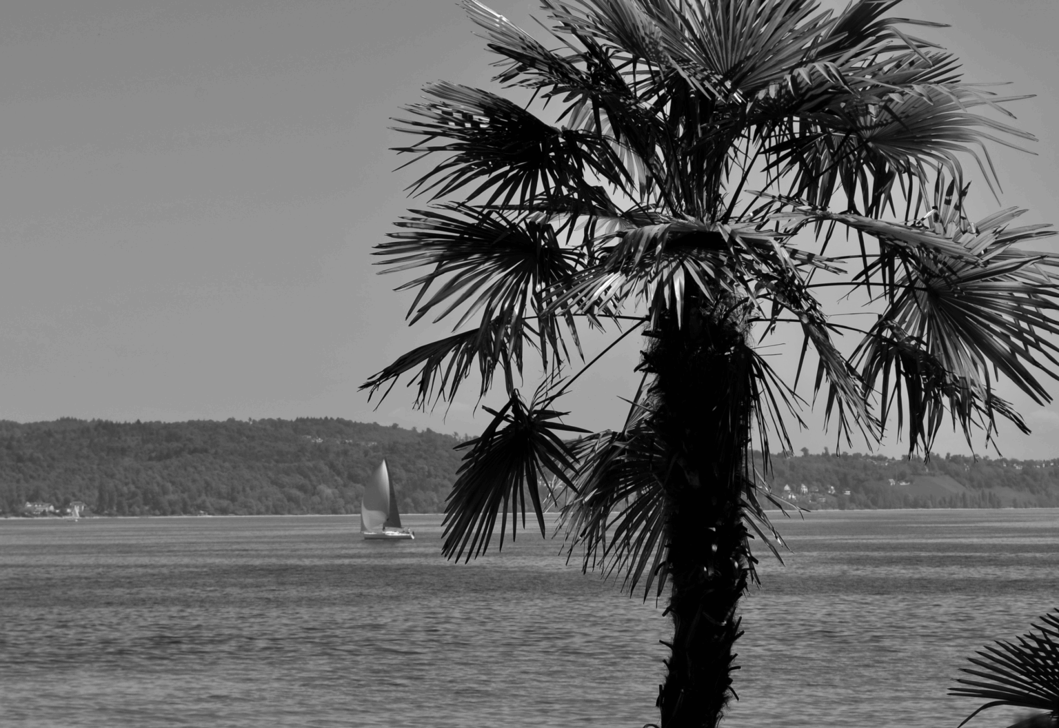 DSC_0537-1536x1056 Fotografie 25