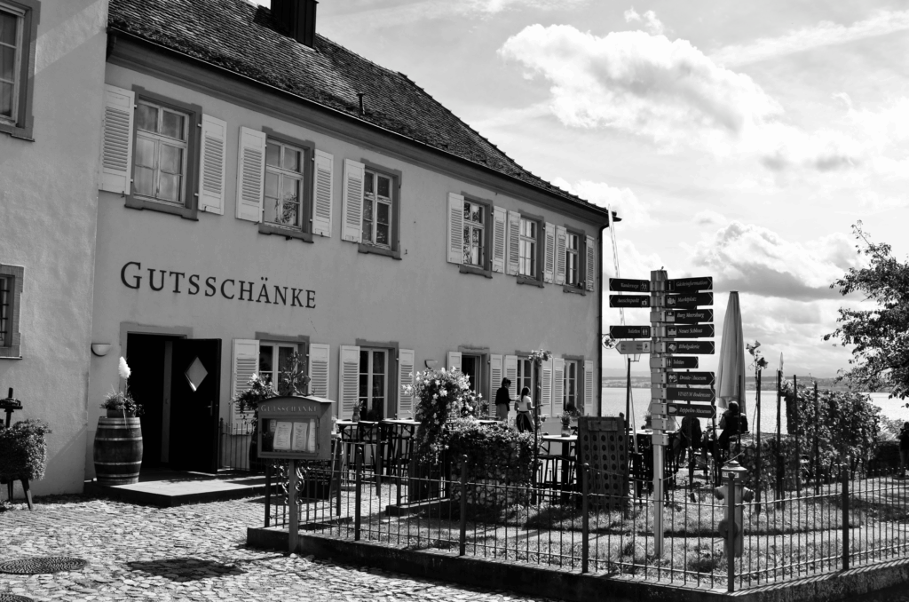 DSC_0078-1024x678 Fotografie 25