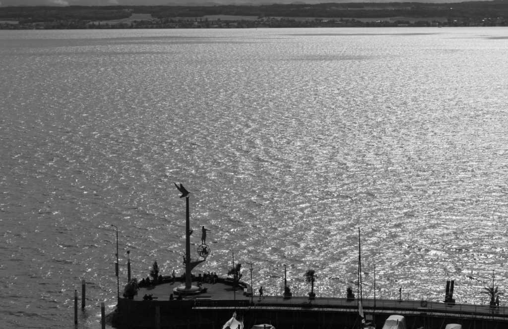 DSC_0097-1024x664 Fotografie 25