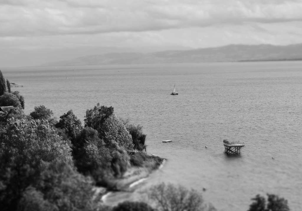 DSC_0103-1024x716 Fotografie 25