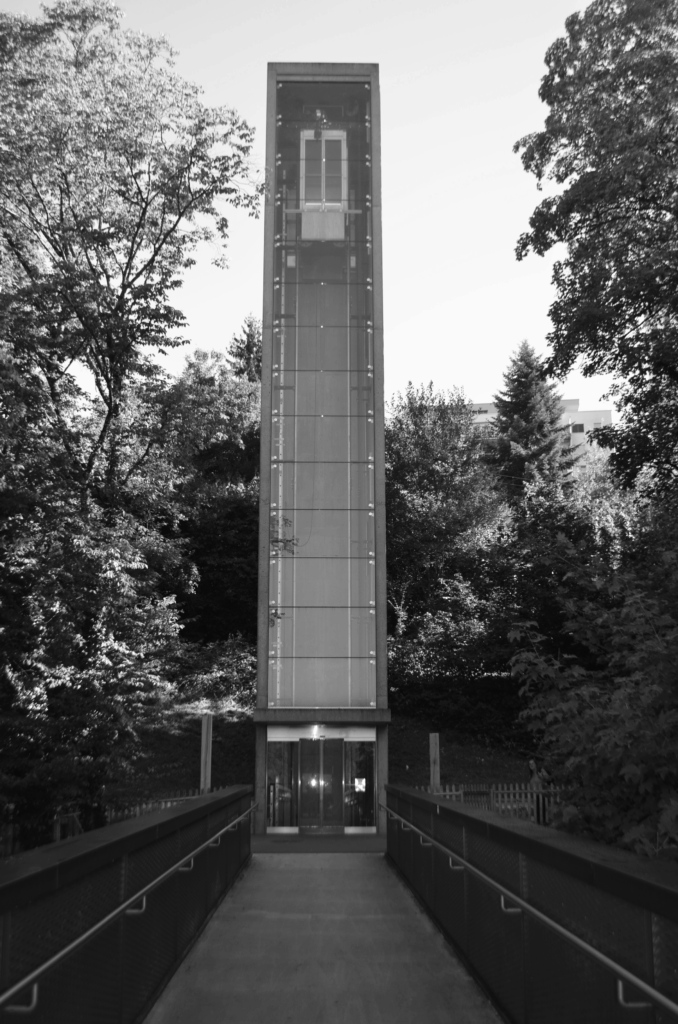 DSC_0187-678x1024 Fotografie 25