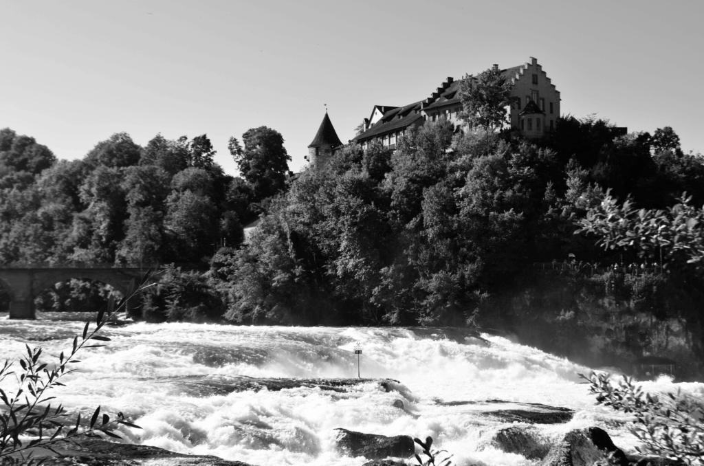 DSC_0194-1024x678 Fotografie 25