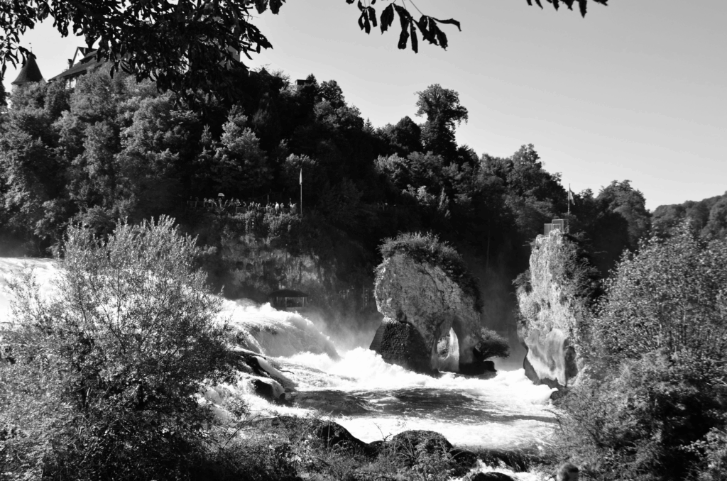 DSC_0204-1024x678 Fotografie 25