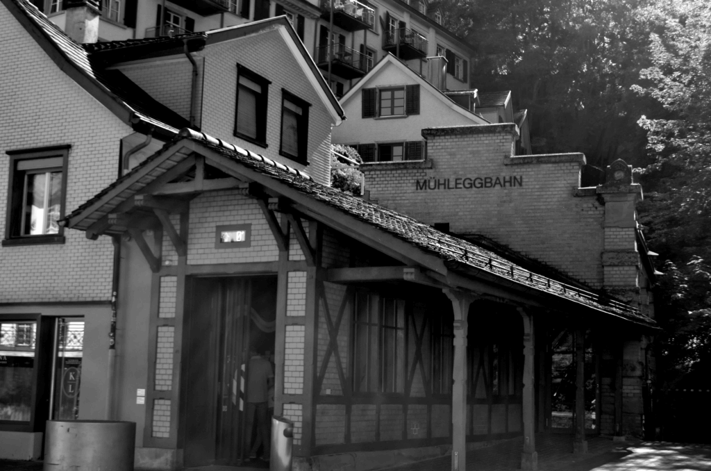 DSC_0410-1024x678 Fotografie 25