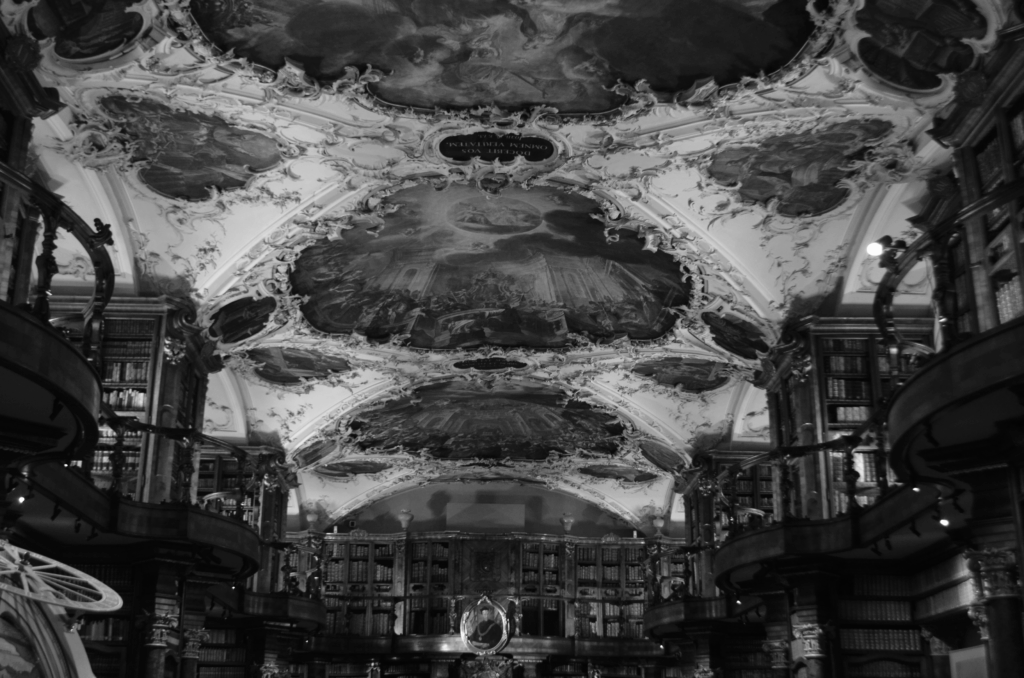 DSC_0416-1024x678 Fotografie 25