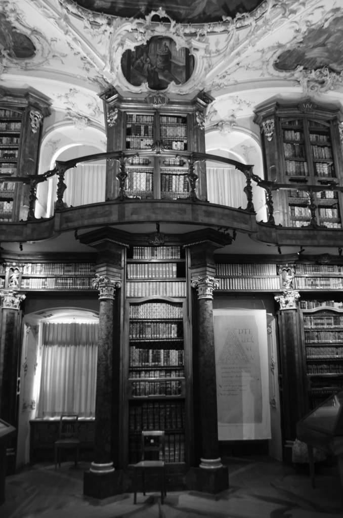 DSC_0427-678x1024 Fotografie 25