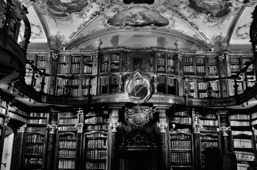 DSC_0428-1024x678 Fotografie 25