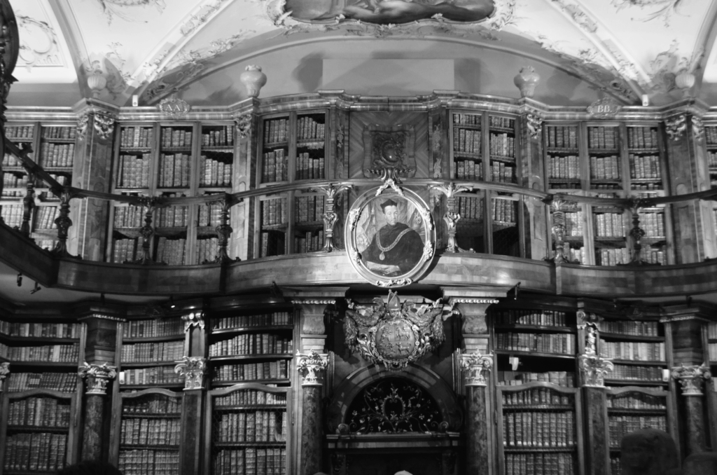 DSC_0429-1024x678 Fotografie 25