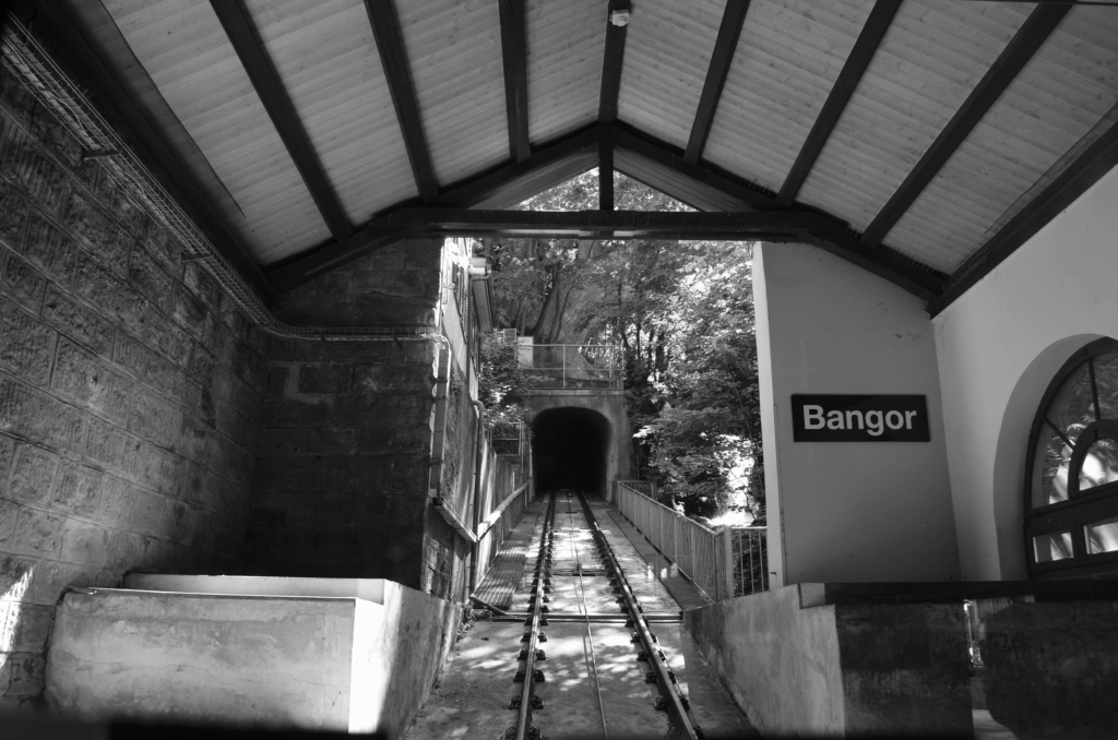 DSC_0451-1024x678 Fotografie 25