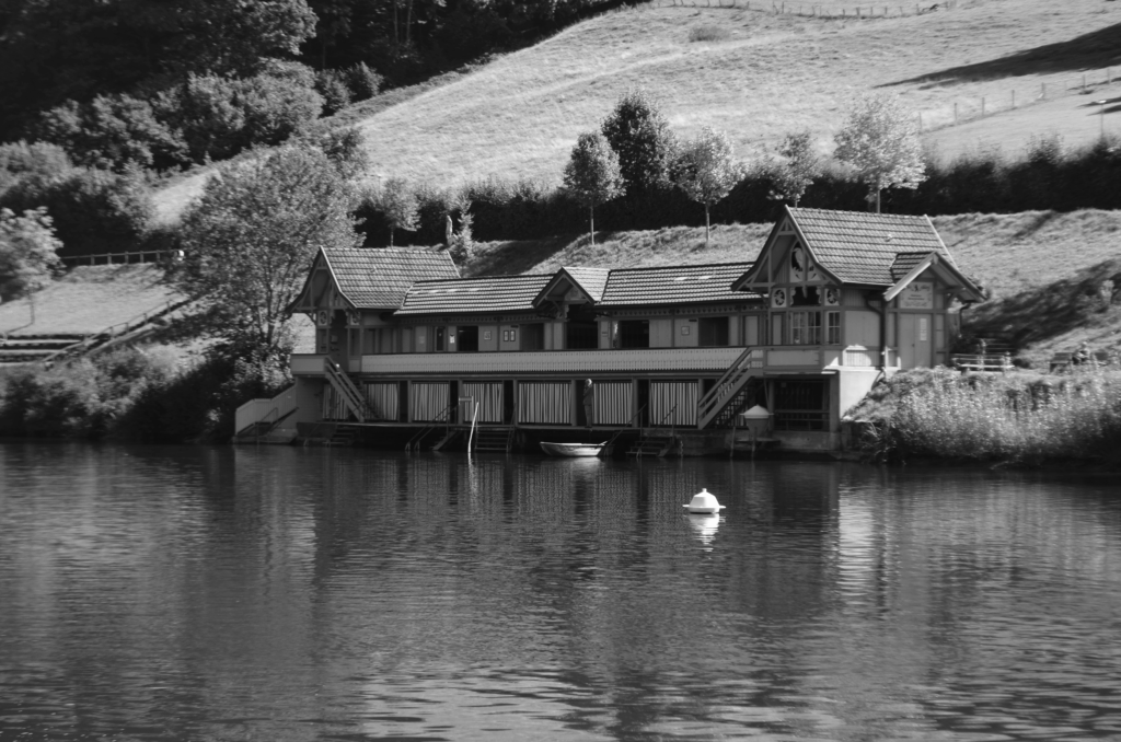 DSC_0467-1024x678 Fotografie 25