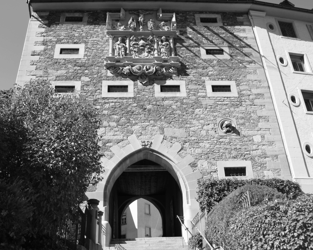 DSC_0501-1024x817 Fotografie 25