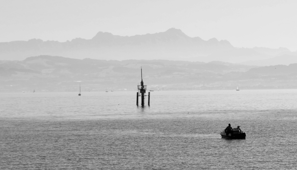 DSC_0505-1024x586 Fotografie 25