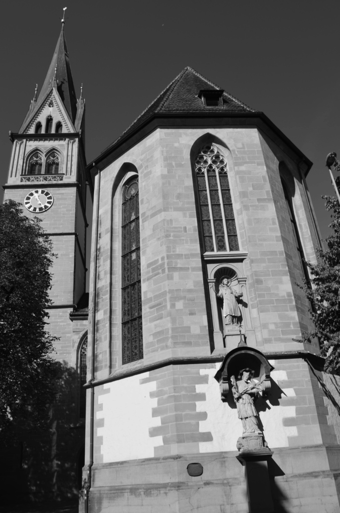 DSC_0522-678x1024 Fotografie 25