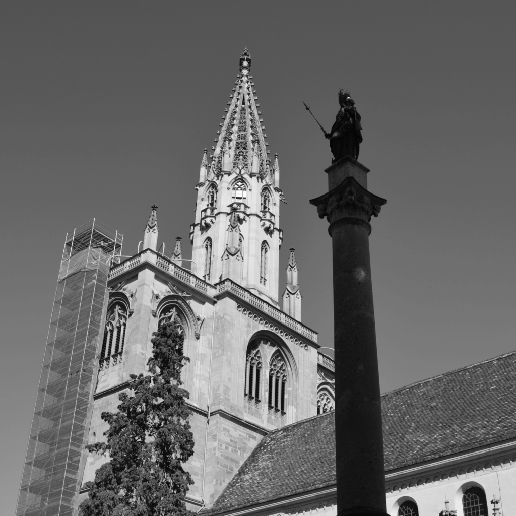 DSC_0537-1024x1024 Fotografie 25