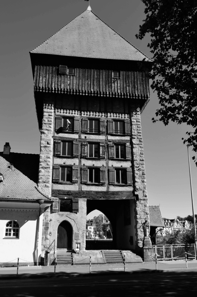 DSC_0548-678x1024 Fotografie 25