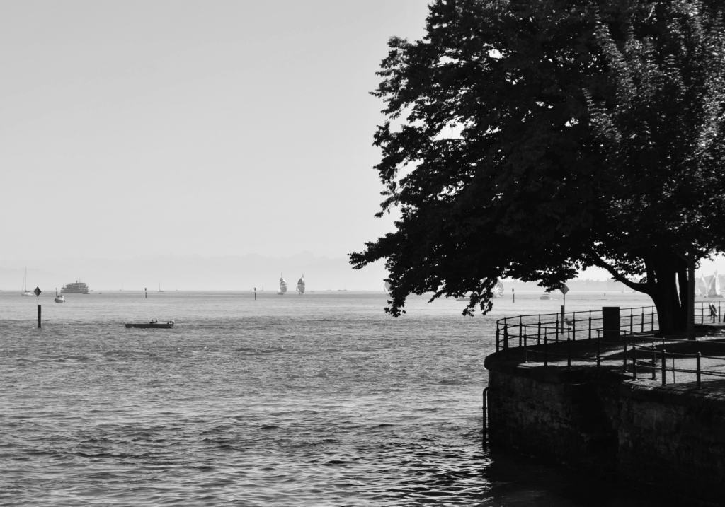 DSC_0558-1024x717 Fotografie 25