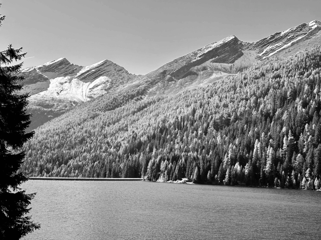 IMG_6917-1024x768 Fotografie 25