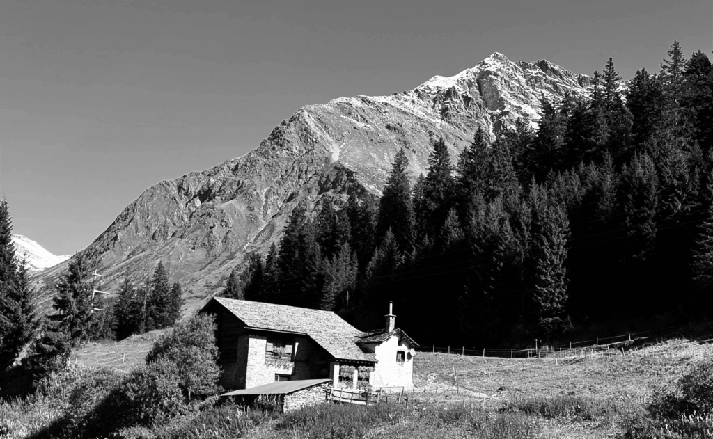 IMG_6923-1024x631 Fotografie 25