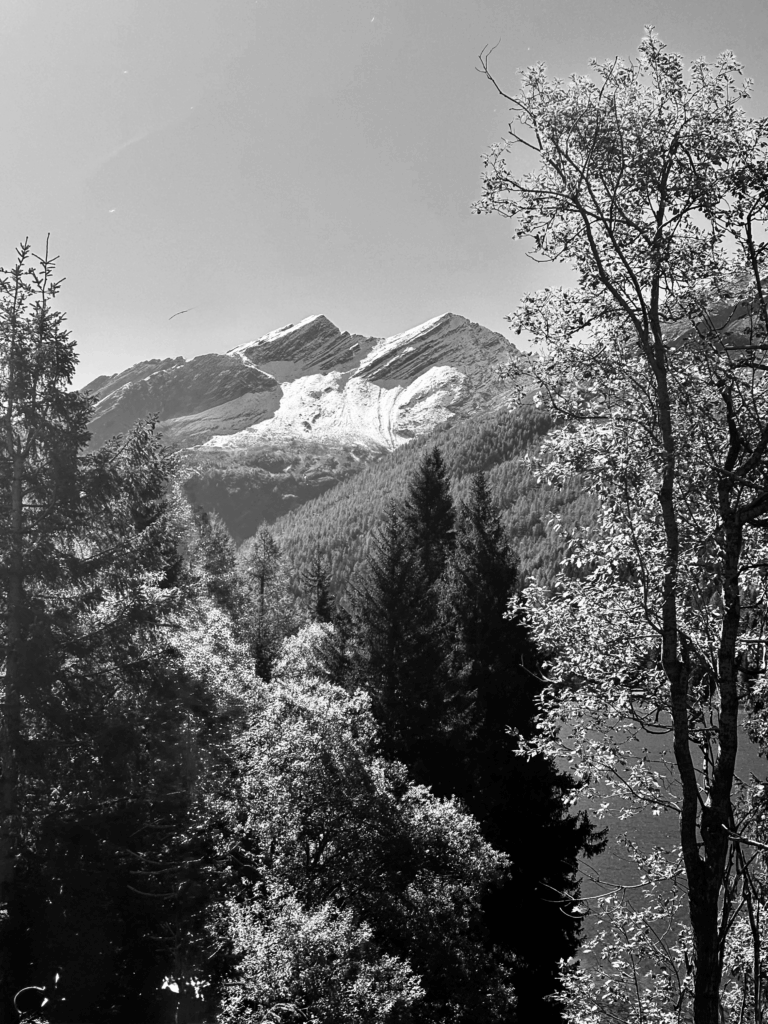 IMG_6925-768x1024 Fotografie 25