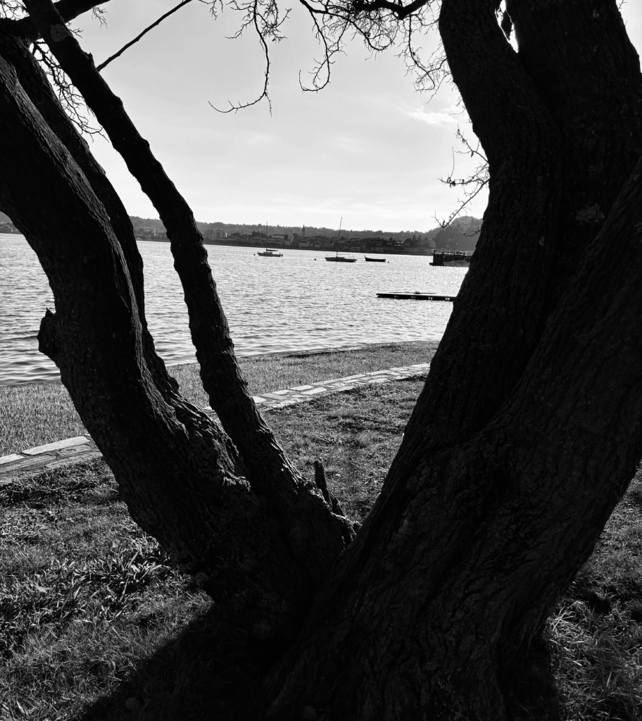 IMG_6938-912x1024 Fotografie 25