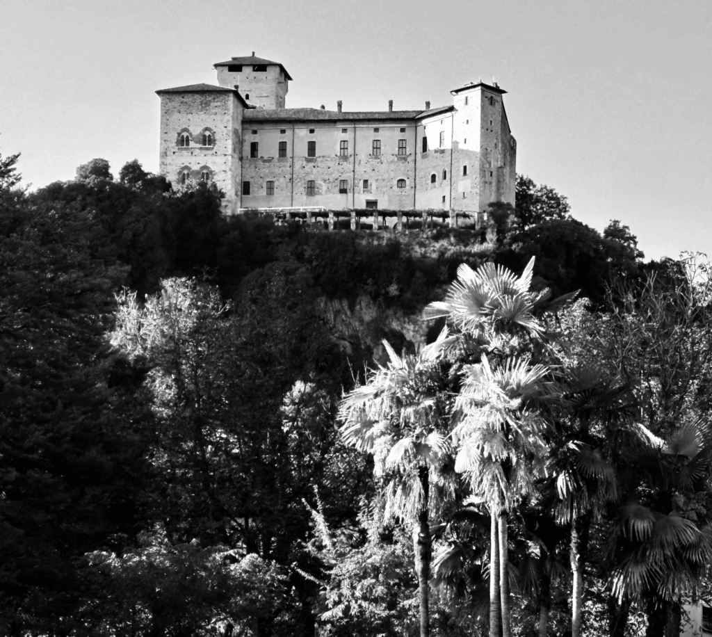 IMG_6939-1024x916 Fotografie 25