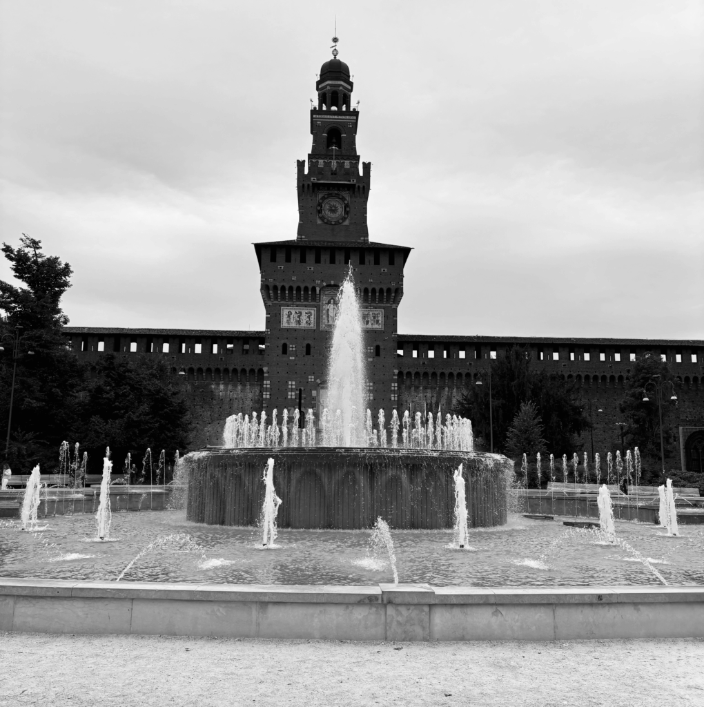 IMG_7020-1020x1024 Fotografie 25