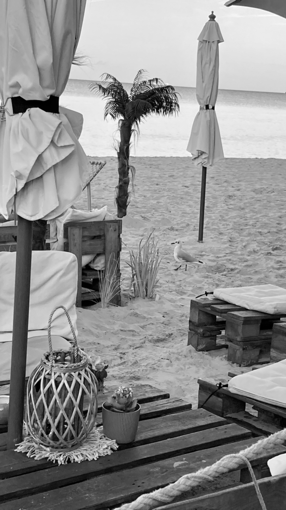 C9DA53F1-76EC-44BB-B4B6-3571886489DF-576x1024 Fotografie 26