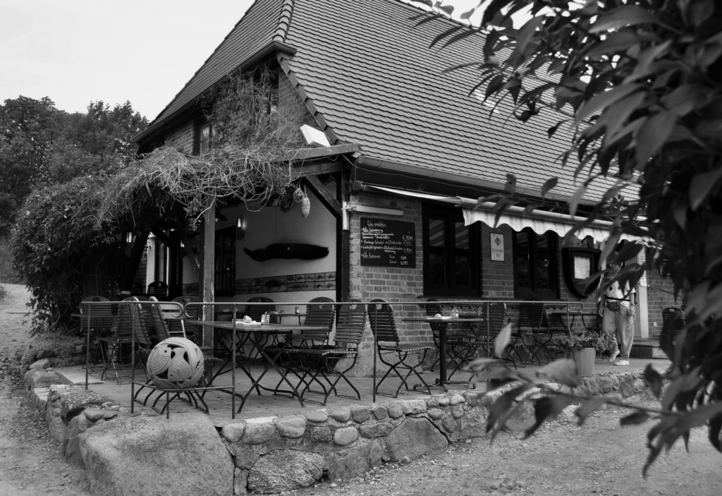 DSC_0839-1024x703 Fotografie 26