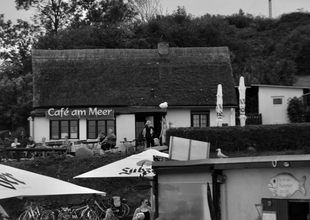 DSC_0857-1024x727 Fotografie 26