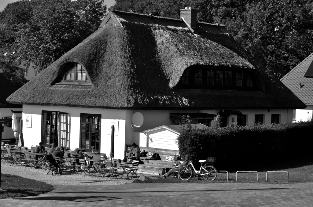 DSC_0987-1-1024x678 Fotografie 26