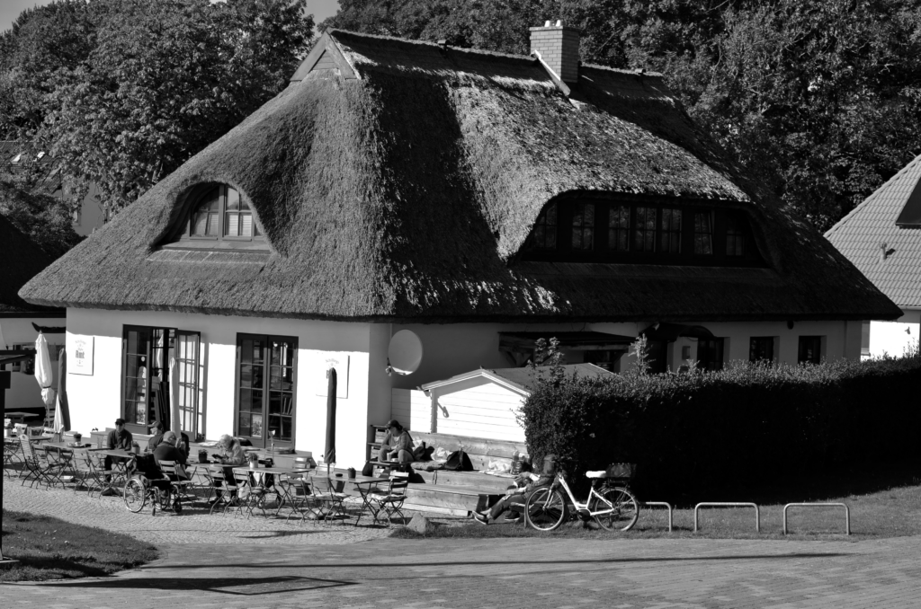 DSC_0987-1024x678 Fotografie 26