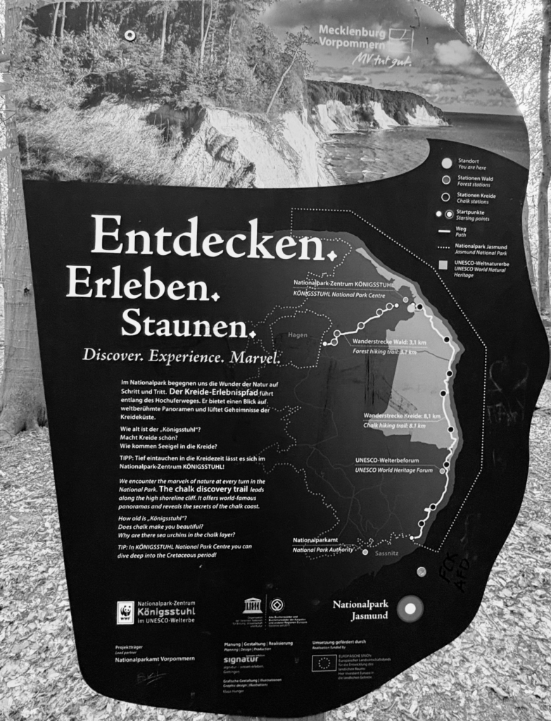 IMG_7557-783x1024 Fotografie 26